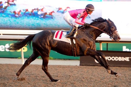 Swift Delivery wins an allowance optional claiming race at Woodbine