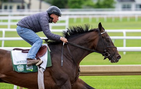 Kentucky Derby winner Sovereignty could take a big step toward an Eclipse Award with a win in the Belmont Stakes at Saratoga Race Course