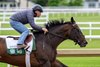 2025 Kentucky Derby winner Sovereignty with exercise rider Neil Poznansky put in his final work in preparations for the 225 Belmont Stakes for trainer Billy Mott this morning at the Oklahoma Training Track Sunday June 1 2025 in Saratoga Springs, N.Y. Photo  by Skip Dickstein