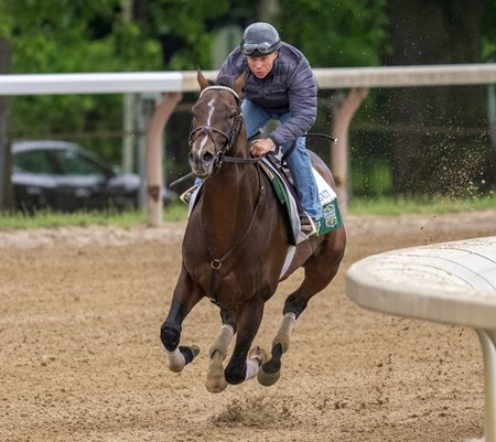 Sovereignty trains at Saratoga Race Course, where he has been stabled since May 8