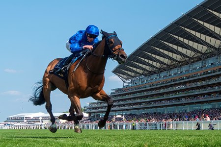 Trawlerman wins the Gold Cup at Ascot Racecourse