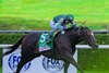 Deterministic with Kendrick Carmouche wins the Manhattan (G1T)  at Saratoga Race Course on June 8, 2025.