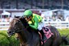Donegal Momentum wins the 2025 Poker Stakes at Saratoga Race Course