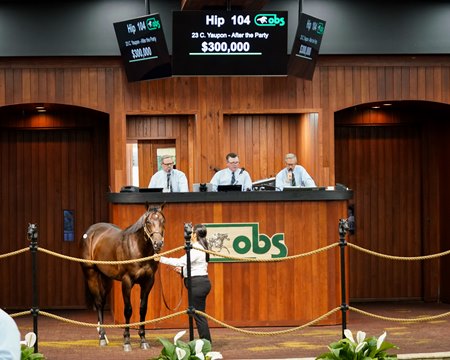 The Yaupon colt consigned as Hip 104 in the ring at the OBS June Sale