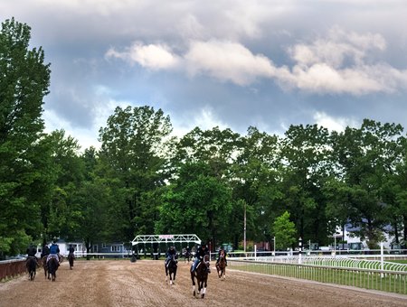 Horses train at Saratoga Race Course