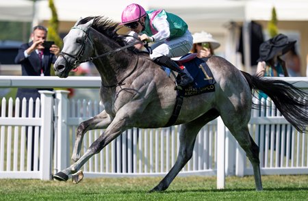 Field of Gold wins the St James's Palace Stakes at Ascot Racecourse