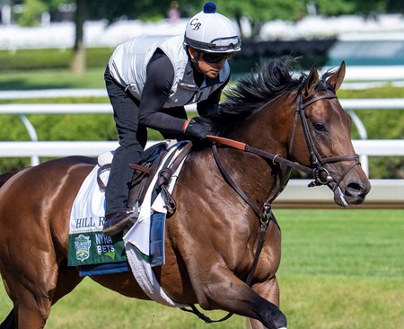 Hill Road galloping at Saratoga Race Course 