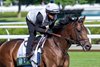 Belmont Stakes entrant Hill Road goes out to gallop at the Saratoga Race Course the day before opening day of the Belmont Stakes Festival Tuesday June 3, 2025 in Saratoga Springs, N.Y.   Photo by Skip Dickstein
