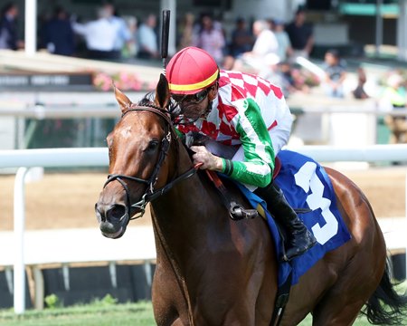 Pharoah's Wine is entered in the Sept. 4 One Dreamer Stakes at Kentucky Downs