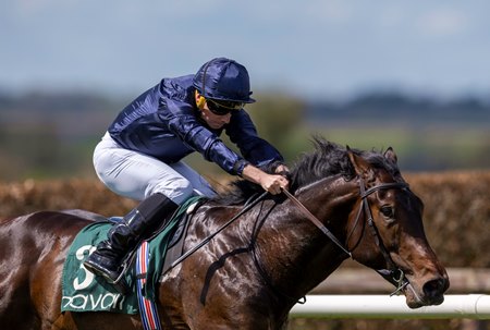 Charles Darwin breaks his maiden at Navan Racecourse