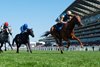 Crimson Advocate and James McDonald win the G2 Duke of Cambridge Stakes,  Royal Ascot 2025,  Ascot Racecourse, Ascot UK, 6-18-25, Mathea Kelley-Bloodhorse