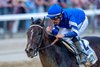 Sovereignty and Junior Alvarado win the Belmont Stakes G1, Saratoga Racetrack, Saratoga Springs, NY, June 7, 2025, Javier Molina- Mathea Kelley-BloodHorse