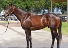 2025 OBS June, Hip 829                      
