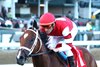 Destino d&#39;Oro - ALW - 06-19-25 - R08 - Churchill Downs