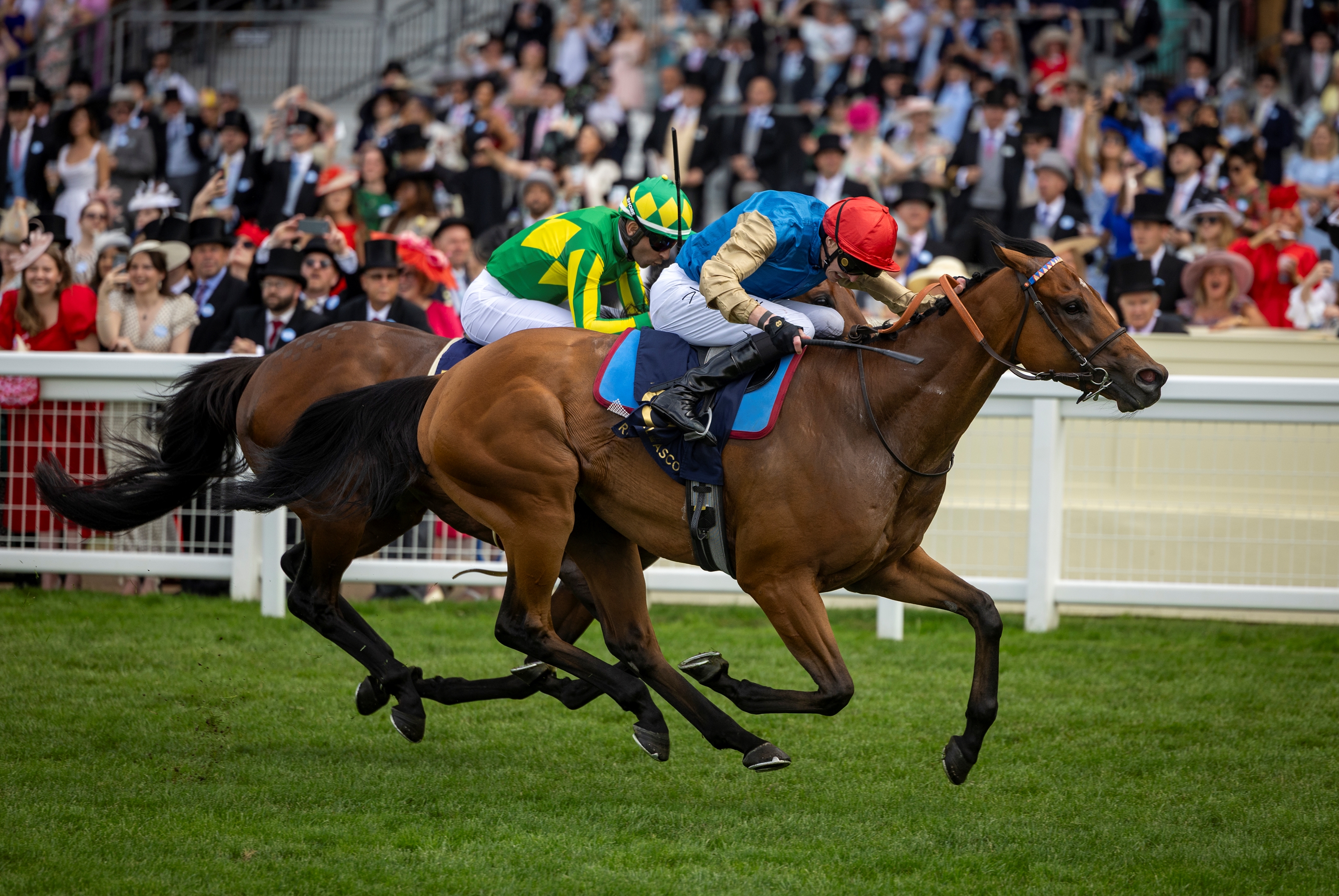 Lazzat Brings Momentum Into Prix Maurice de Gheest - BloodHorse