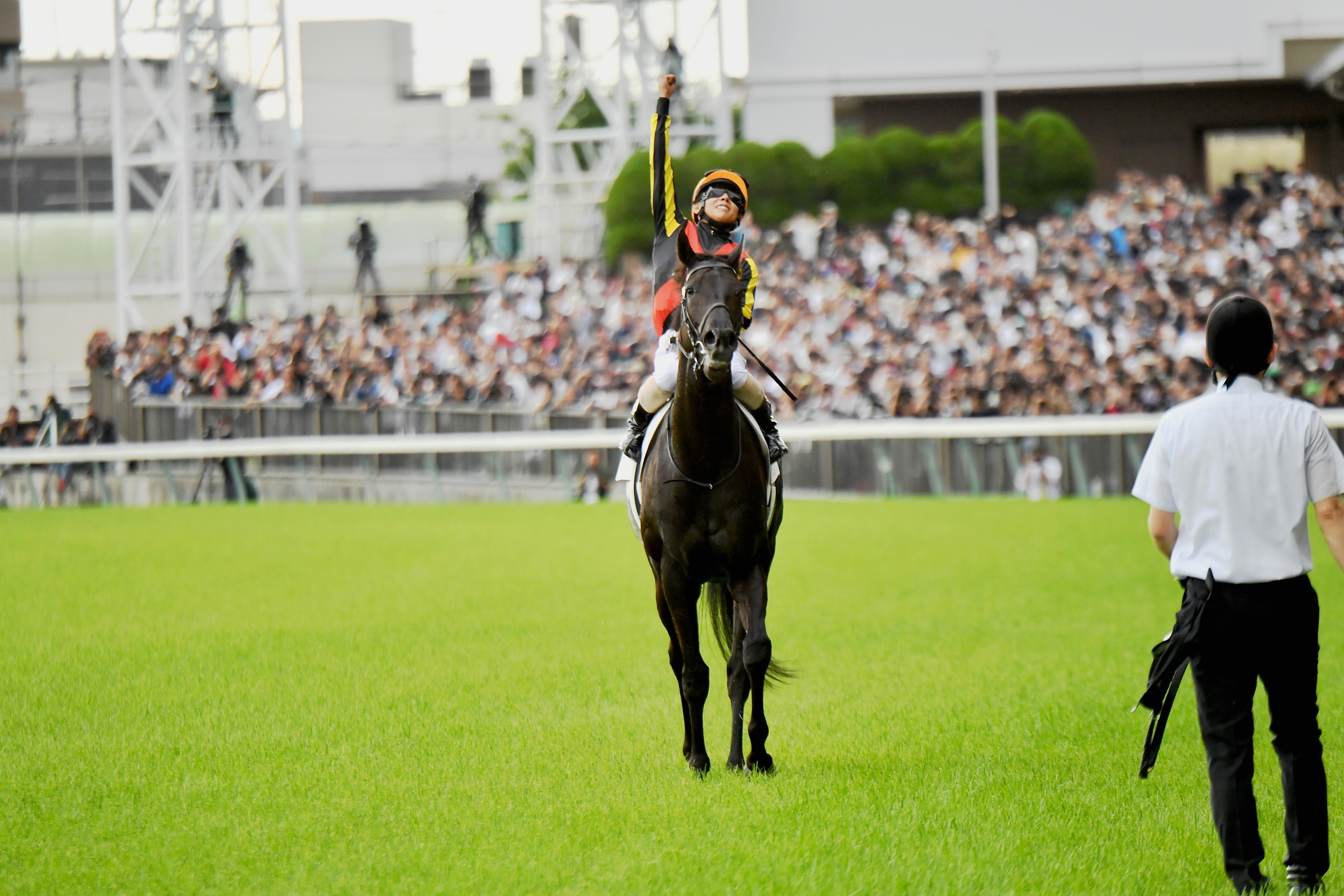 Croix du Nord (JPN) - Horse Profile - BloodHorse