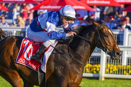 Maison Louis wins the Queensland Derby at Eagle Farm Racecourse