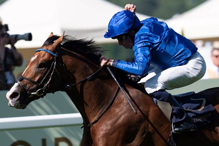 Ombudsman wins the Prince of Wales's Stakes at Ascot Racecourse
