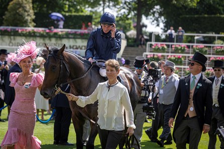 Charles Darwin (IRE) - Horse Profile - BloodHorse