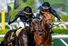 Pipsy with jockey Jose Ortiz, center moves on to win the Intercontinental at the Saratoga Race Course Thursday June 5, 2025 in Saratoga Springs, NY.  Photo by Skip Dickstein