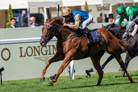 Crimson Advocate wins the Duke of Cambridge Stakes at Ascot Racecourse