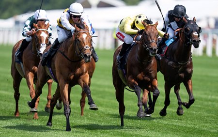 Cairo (far right, black cap) finishes third to Docklands (nearest) in the Queen Anne Stakes at Ascot Racecourse