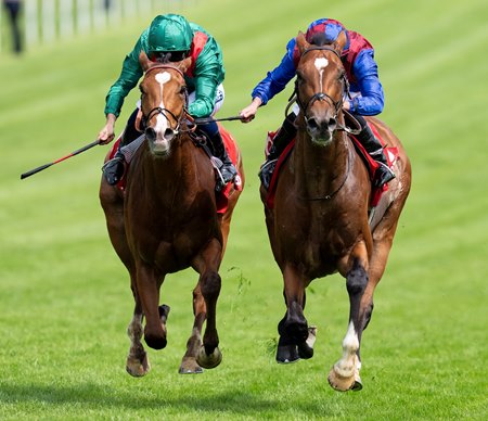 Jan Brueghel (right) defeats Calandagan in the Coronation Cup at Epsom Downs Racecourse