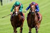 Jan Brueghel (right) beats Calandagan in the Coronation Cup
Epsom 6.6.25 Pic: Edward Whitaker
