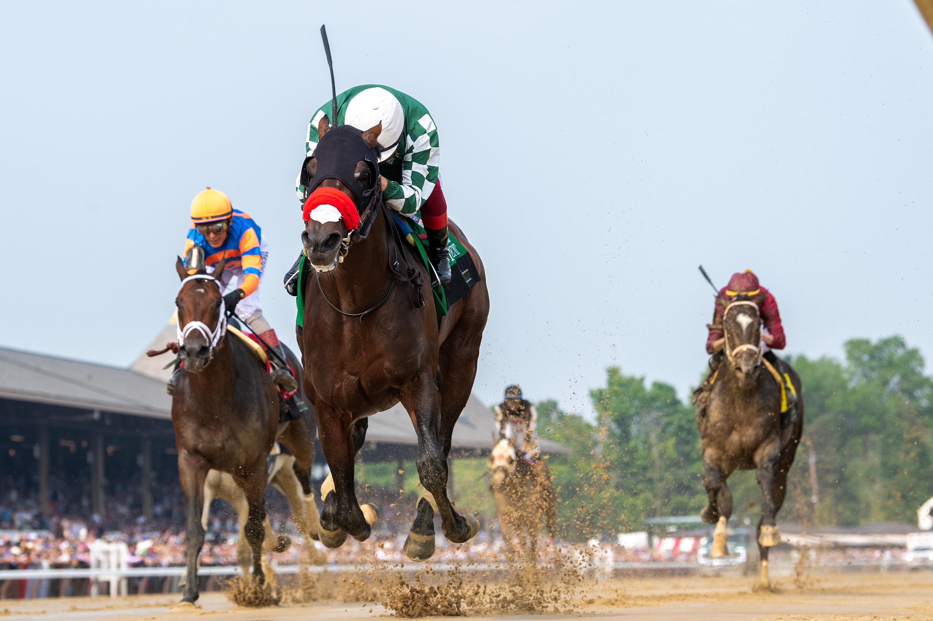 【哭きの竜12929】Thoroughbred Raging Torrent - Horse Profile - BloodHorse