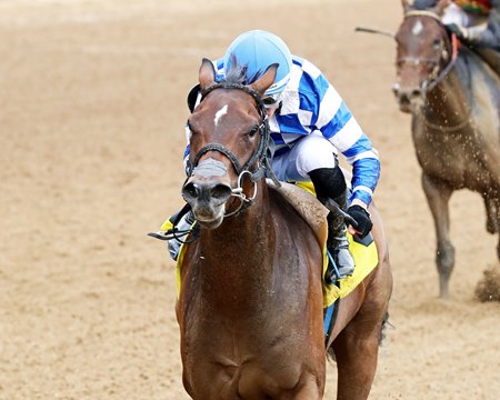 Kilwin wins the 2025 Leslie's Lady Overnight Stakes at Churchill Downs