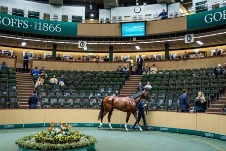 The Starspangledbanner colt consigned as Lot 47