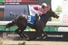 Winterberry wins the 2025 Fury Stakes at Woodbine Racetrack