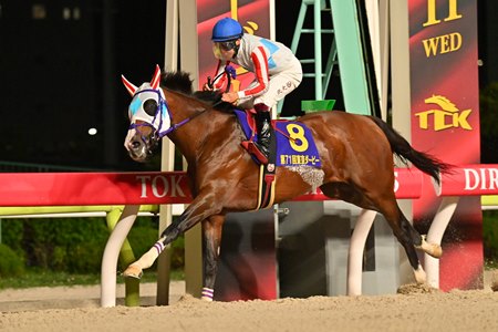 Natural Rise wins the Tokyo Derby at Oi Racecourse