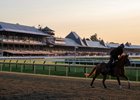 A horse from the training stable of Danny Gargan gallops in the early morning sun on the main track at the Saratoga Race Course the day before opening day of the Belmont Stakes Festival Tuesday June 3, 2025 in Saratoga Springs, N.Y.   Photo by Skip Dickstein