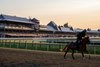 A horse from the training stable of Danny Gargan gallops in the early morning sun on the main track at the Saratoga Race Course the day before opening day of the Belmont Stakes Festival Tuesday June 3, 2025 in Saratoga Springs, N.Y.   Photo by Skip Dickstein