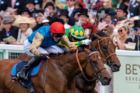 Lazzat (near) outfinishes Satono Reve to win the Queen Elizabeth II Jubilee Stakes at Ascot Racecourse