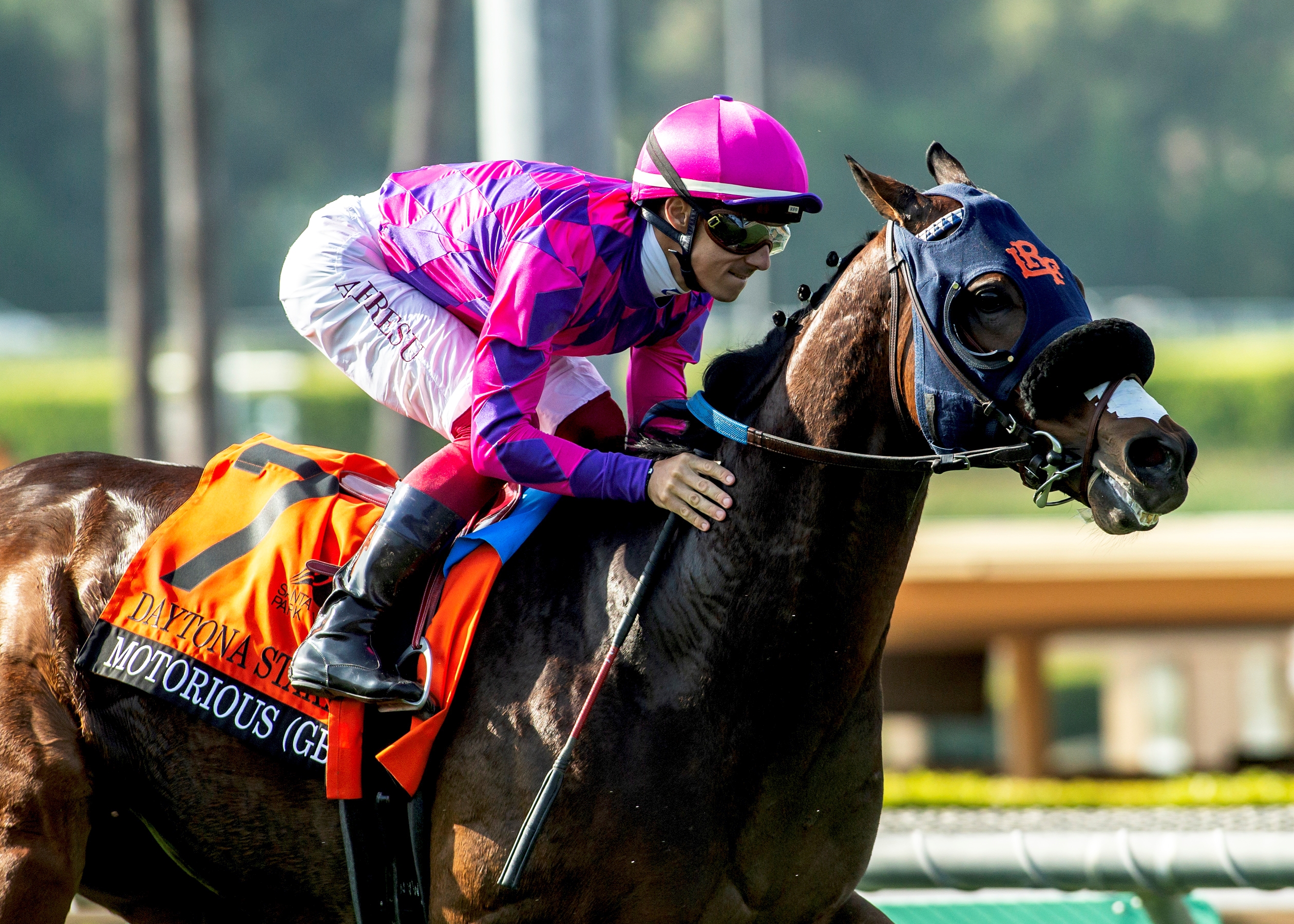 Motorious Seeks Repeat Victory in Joe Hernandez - BloodHorse