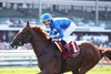 Tom&#39;s Magic #1 with Axel Concepcion riding won the $100,000 Tale Of The Cat Stakes at Monmouth Park Racetrack in Oceanport, NJ on Saturday June 28, 2025.  Photo By Bill Denver/EQUI-PHOTO
