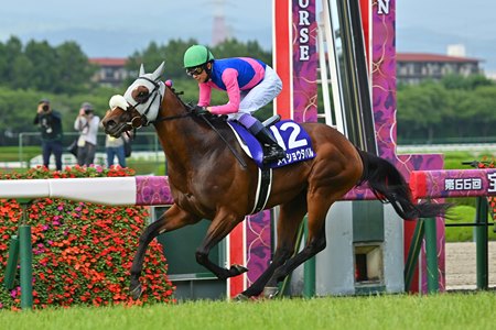 Meisho Tabaru wins the 2025 Takarazuka Kinen at Hanshin Racecourse