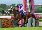 Meisho Tabaru, ridden by Yutaka Take, wins the Takarazuka Kinen on June 15, 2025 at Hanshin Race Course. Trained by Mamoru Ishibashi - Owned by Yoshio Matsumoto
Photos by Katsumi Saito