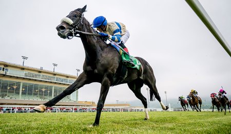 Racing at Penn National Race Course