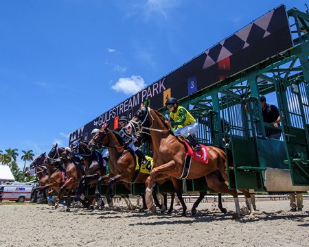 Racing at Gulfstream Park