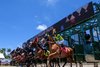 Scene - Gulfstream Park - 061525