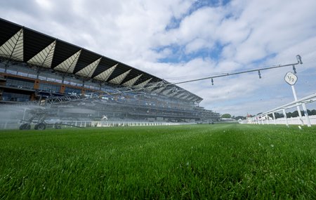 Ascot's 480‑meter-long grandstand roof has a new solar array