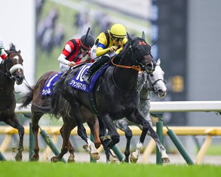 Jantar Mantar Gets Breeders' Cup Bid with Yasuda Kinen