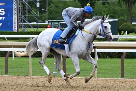 White Abarrio trains at Saratoga Race Course ahead of the Metropolitan Handicap