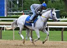 White Abarrio, Saratoga, June 1 2025