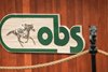 Scene, 2025 OBS June Sale
