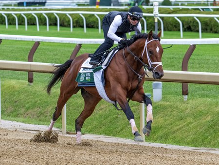 Journalism works a half-mile in :47.54 at Saratoga Race Course