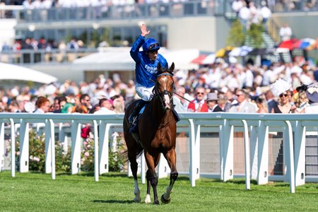 Ombudsman jogs back after winning the 2025 Prince of Wales's Stakes at Ascot Racecourse
